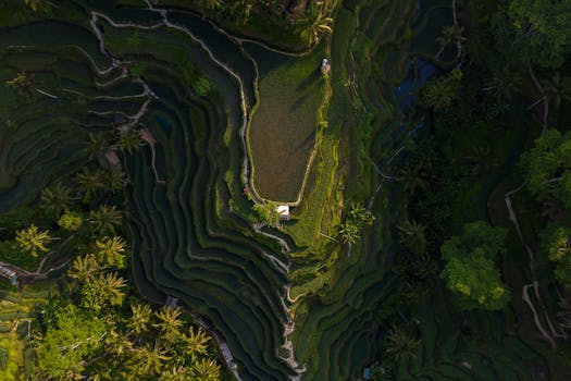 How to Choose the Perfect Eco-Friendly Villa in Bali
