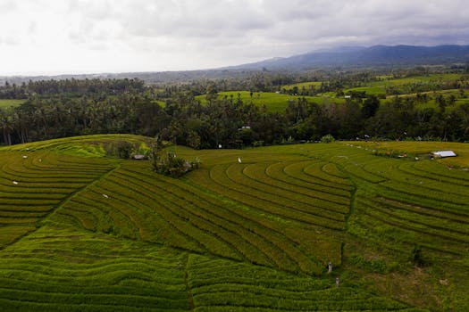 Top 10 Eco-Friendly Villas in Bali for a Sustainable Getaway